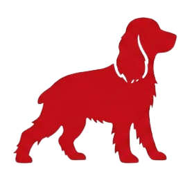 CACHORRO